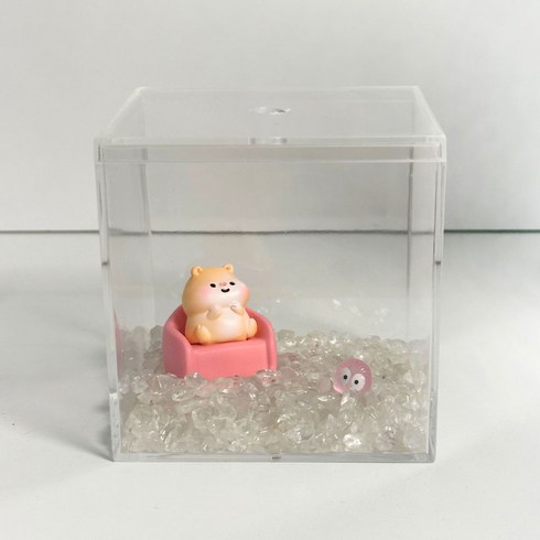 마리모 키우기 어항 세트 투명 미니 어항, 1개, 핑크햄스터