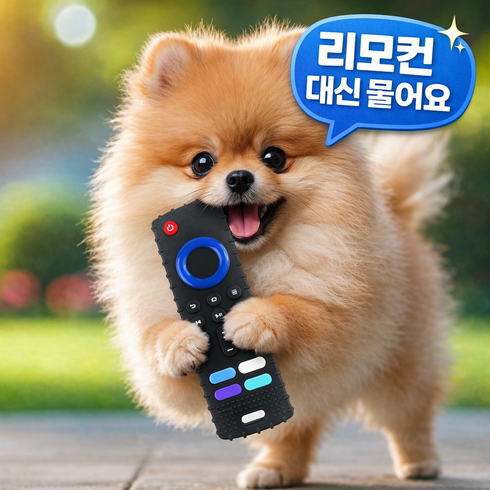 엠리브 강아지 이갈이 장난감 리모컨 실리콘 물어뜯기 스트레스 해소, 1개, 블랙
