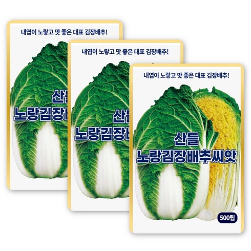 산들 노랑김장 배추씨앗 500립 내엽이 노랗고 맛 좋은 대표 김장배추씨 종자, 3개