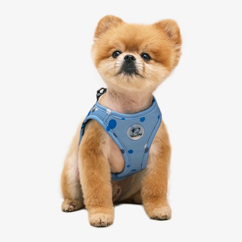 RealPet 강아지 산책 도트 슬림 하네스, 블루, 1개