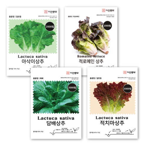 [주주씨앗] 사계절상추씨앗 4종세트 아삭이상추 적로메인 담배상추 적치마 상추씨 종자 봄 가을 파종 작물 쌈 채소씨앗, 1개