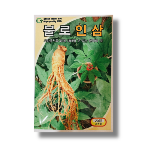 불로 인삼 씨앗 20립 가정 재배 가능한 한국 인삼씨 종자, 1개