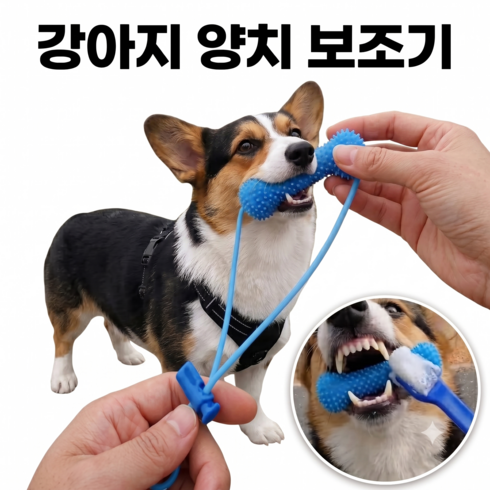 몽냥멍냥 강아지 양치 보조기, 1개, 블루