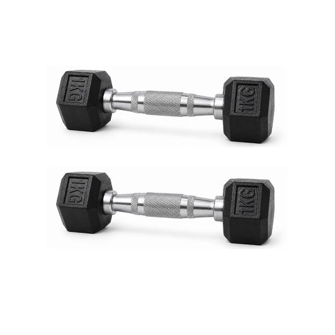 드래곤핏 홈짐 PEV 헥사곤 헬스장 육각 아령, 2개, 1kg