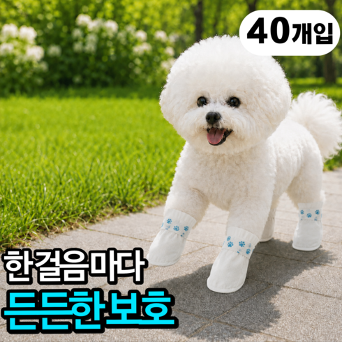 토글리 사계절 발보호 산책 일회용 강아지 신발, 40개, 화이트