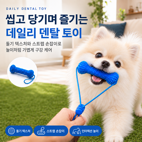 강아지 덴탈 토이 TPR 이갈이 씹는 장난감 구강관리 치아관리 양치습관 손잡이형 터그놀이, 1개, 파란색