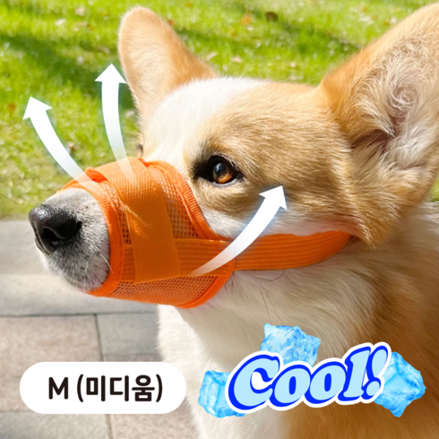 러뷰펫 소형견 중형견 편안한 메쉬 입마개 M, 1개, 오렌지