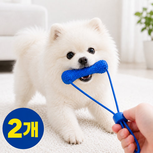 스스제이디 말랑탄성 강아지 터그놀이 이갈이 장난감, 2개, 파란색