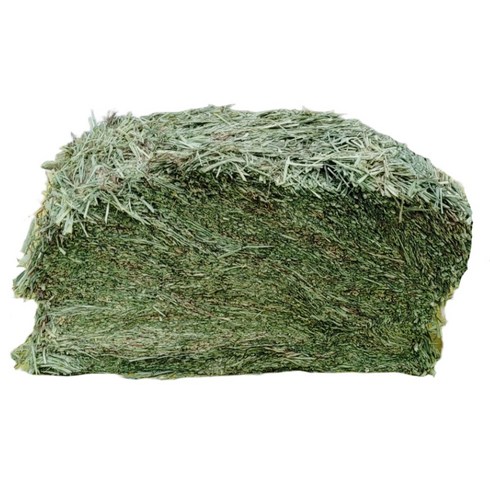 대용량 프리미엄 티모시건초, 1개, 1kg