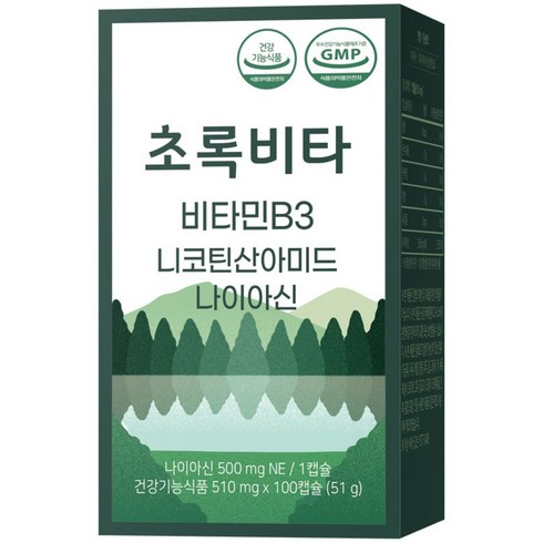초록비타 고용량 비타민B3 500mg (나이아신아마이드 니코틴산아미드 미국산 원료), 1개, 100정