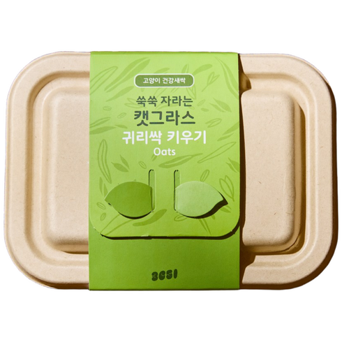 3651 쑥쑥 자라는 캣그라스 키우기 재배세트, 1개, 160g, 귀리싹