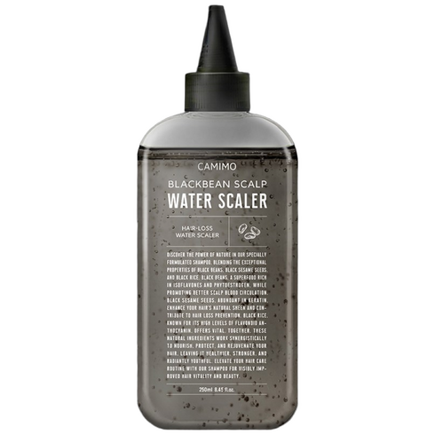 까미모 블랙빈 스칼프 정수리 두피냄새제거 워터 두피스케일러, 2개, 250ml