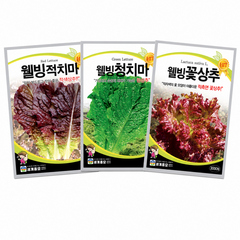 주주씨앗 기본 상추 씨앗 3종세트 웰빙 적치마 청치마 꽃상추 종자 상추씨 쌈채소, 1개