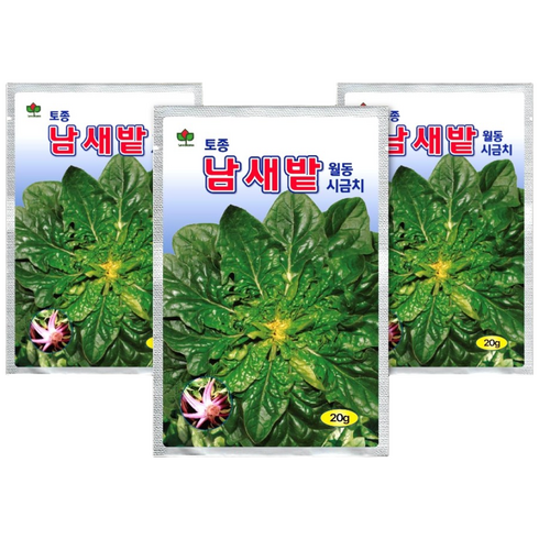 씨드코리아 남새밭 월동시금치 씨앗 20g 3봉 묶음, 1개