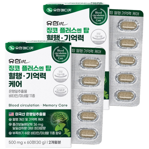 유한메디카 징코 플러스 엔 탑 혈행 기억력 케어 30g, 60정, 2개
