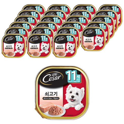 시저 11세 이상 시니어 강아지 주식캔, 소, 100g, 24개
