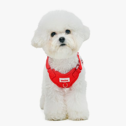 왈츠 강아지하네스 목줄 하네스 앞섬방지 슬개골 H형 가슴줄 소형견, 레드, 1개