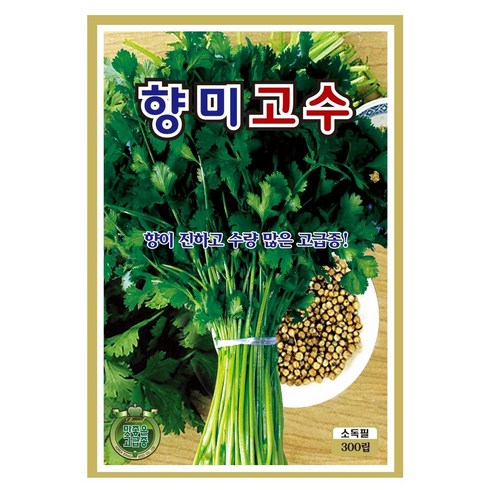 향미고수 씨앗(300립) 고수 씨 씨앗 종묘 종자 영웅 KS Coriander seeds Cilantro, 1개