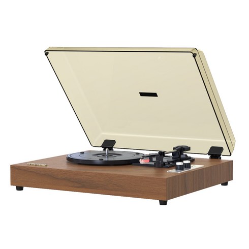 왓플러스 WhatPlus from1900 블루투스 LP 레트로 축음기, 호두색, 1900