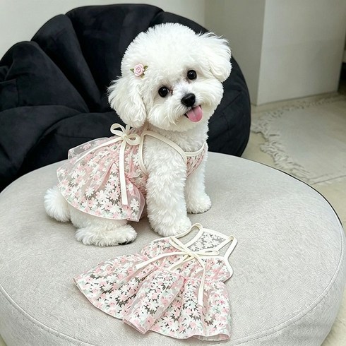 DearPaw강아지 고양이 여름 원피스 시원한 망사 꽃 장식, 1개, A