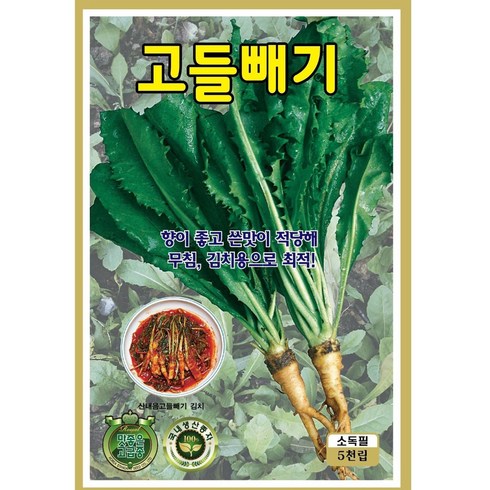 식물의집 고들빼기 씨앗 고들빼기 씨 민속채소씨앗 씨, 1개