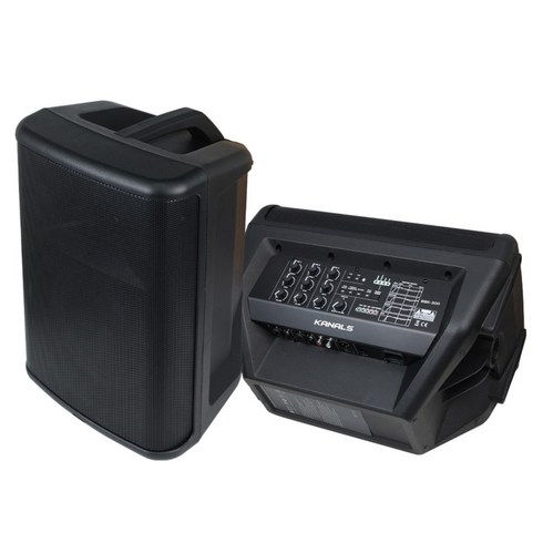카날스 충전식 버스킹 기타 악기용 블루투스앰프 250W, BSK-300, 블랙