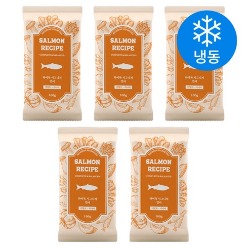 하이독 강아지 시그니처 화식 사료 (냉동), 연어, 100g, 5개