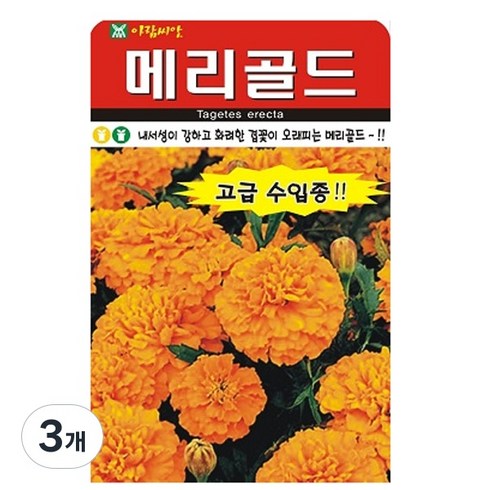 아람종묘 메리골드 꽃 씨앗, 3개