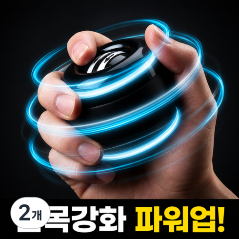 호담즈 전완운동 손목강화 자이로볼, 2개, 블랙