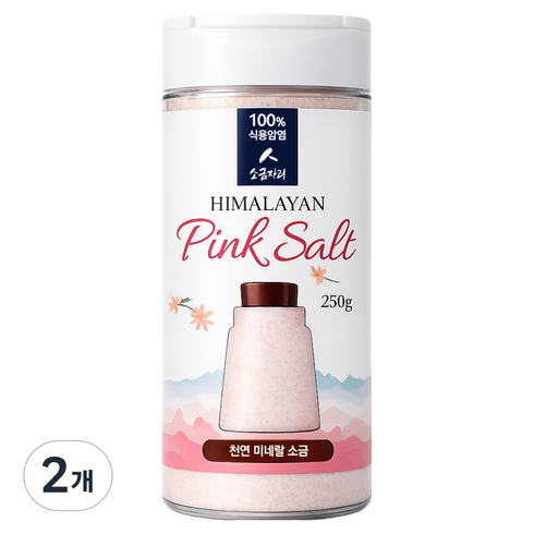 소금자리 히말라야 핑크솔트 가는입자 용기형, 2개, 250g