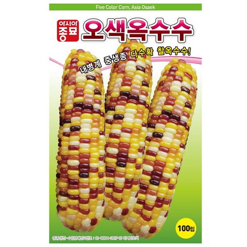 아시아종묘 오색옥수수 옥수수 씨앗 100립, 1개