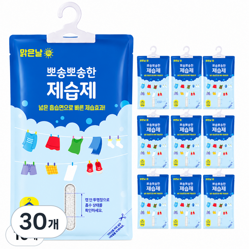 맑은날 뽀송뽀송한 제습제 옷걸이용, 200g, 30개