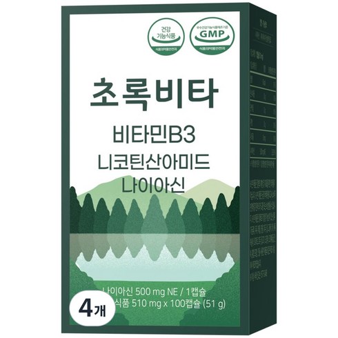 초록비타 고용량 비타민B3 500mg (나이아신아마이드 니코틴산아미드 미국산 원료), 4개, 100정