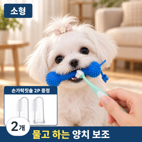 에보윈 물고닦개 강아지 덴탈토이 양치 보조기 TPR 이갈이 터그놀이 씹는 장난감 치아관리, 2개, 블루