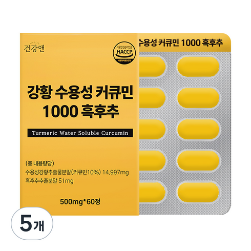 강황 수용성 커큐민 1000 흑후추 식약청인증 HACCP 건강앤, 60정, 5개
