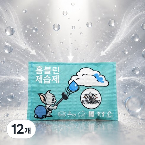 홈블린 반영구 실리카겔 습기제거제 제습제 B155, 100g, 12개