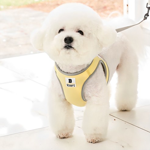 베니즈 베이직 하네스 솔직 후기 | 실제 사용자 리뷰 총정리 썸네일