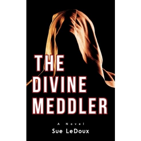(英文圖書) The Divine Meddler 精裝版, Susan LeDoux, 英文 - 驚悚 | 酷澎