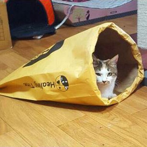 힐링타임 시크릿 페이퍼 고양이하우스 + 캣닢쿠션 랜덤 발송 이미지 4