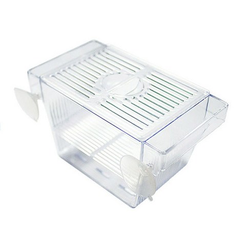 아마존 미니 부화통 이미지 3