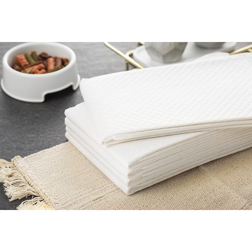 탐사 베이직 배변패드 이미지 2