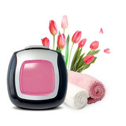 페브리즈 차량용 방향제 이미지 2