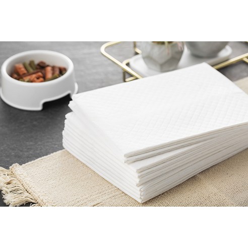 탐사 베이직 배변패드 솔직 후기 | 실사용자 리뷰 분석 - 상품 이미지 2