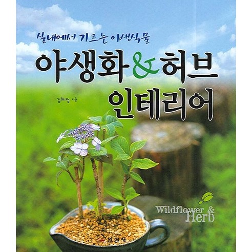 야생화 허브 인테리어, 일진사, 김혜정 저/임순기 감수