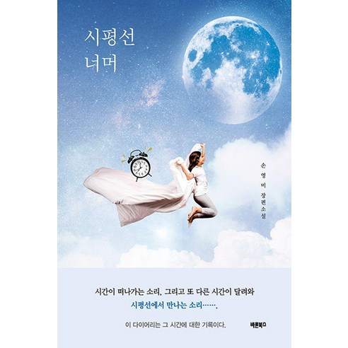 [바른북스]시평선 너머 : 수상하고도 발칙한 다이어리, 손영미