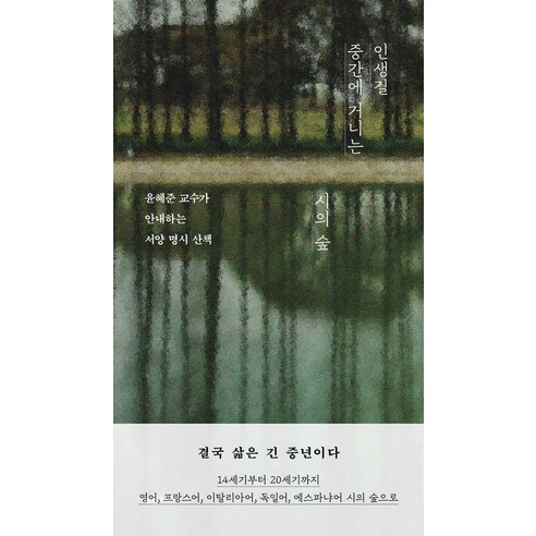 인생길 중간에 거니는 시의 숲:윤혜준 교수가 안내하는 서양 명시 산책, 인생길 중간에 거니는 시의 숲, 윤혜준(저), 교유서가, 윤혜준