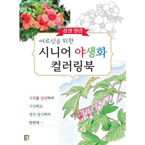 어르신을 위한 감성 힐링 시니어 야생화 컬러링북, 정연옥 저, 랜딩북스