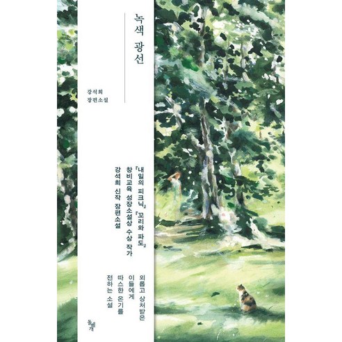 녹색 광선:강석희 장편소설, 돌베개, 강석희