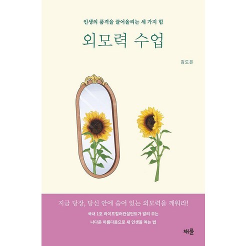 외모력 수업:인생의 품격을 끌어올리는 세 가지 힘, 채륜, 김도은