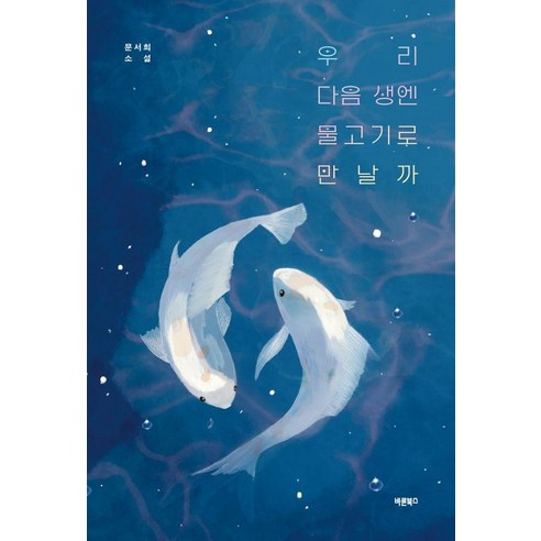 [바른북스]우리 다음 생엔 물고기로 만날까, 바른북스, 문서희